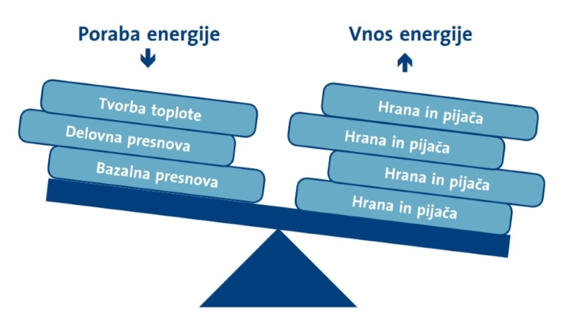 Pozitivna energijska bilanca